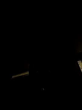 Snapshot of tropikboy chatting on February 4, 2026, 2:17 am tropikboy online show from February 4, 2026, 2:17 am