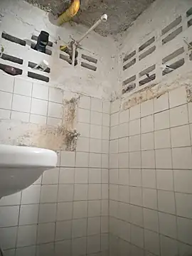 Carrington- online show from March 3, 2026, 5:42 pm