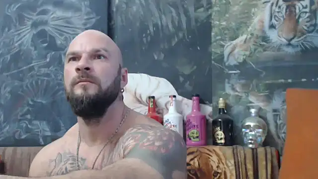 viking 30 online show from October 4, 2025, 2:51 pm