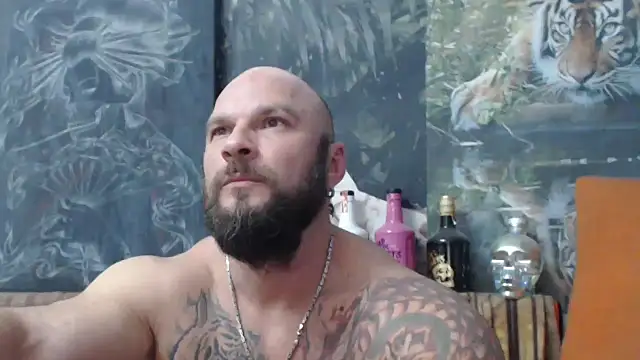 viking 30 online show from September 29, 2025, 6:24 pm