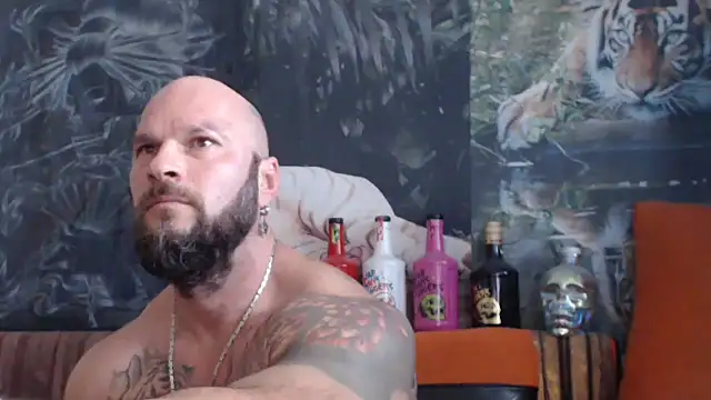 viking 30 online show from September 17, 2025, 10:17 am