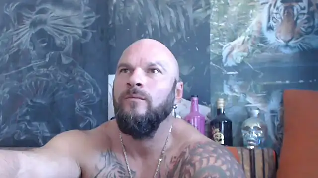 viking 30 online show from September 16, 2025, 6:47 am