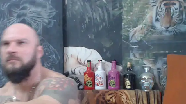 viking 30 online show from November 14, 2025, 7:56 am