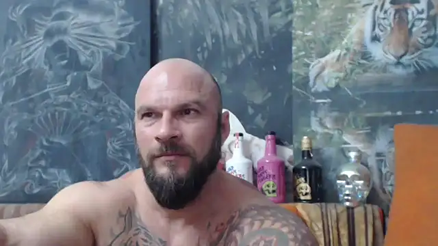 viking 30 online show from September 19, 2025, 6:56 pm