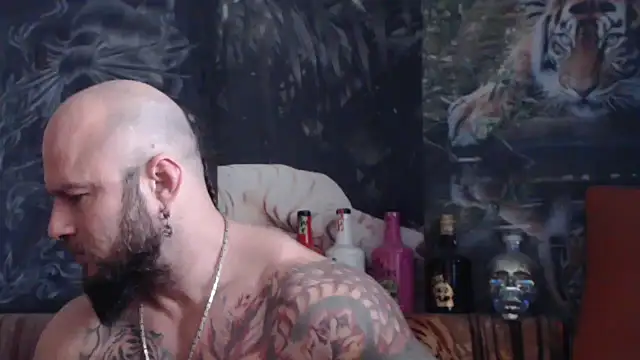 viking 30 online show from November 12, 2025, 11:03 am