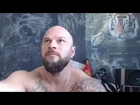 viking 30 online show from April 14, 2026, 6:07 am