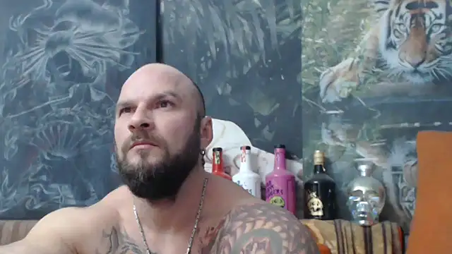 viking 30 online show from October 16, 2025, 6:49 pm