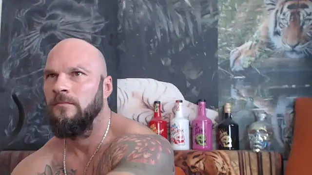 viking 30 online show from September 9, 2025, 9:41 am