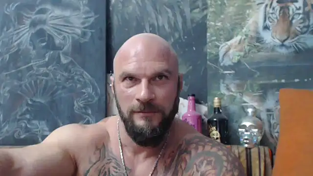 viking 30 online show from September 14, 2025, 6:52 pm