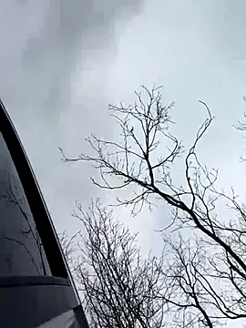 Model9798 online show from December 22, 2025, 9:31 am