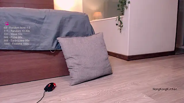 hongkongkitten online show from October 11, 2025, 3:46 pm