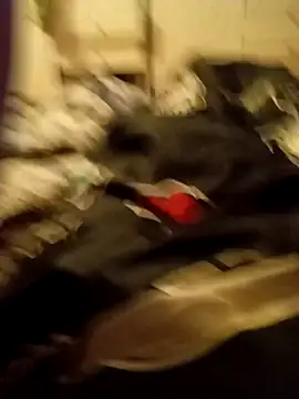 Lm-Schwanz online show from March 7, 2026, 11:32 pm