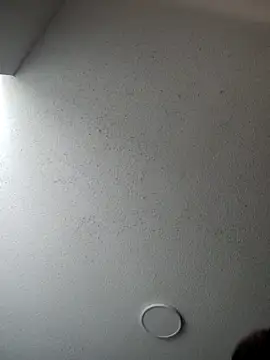 6lue6a6y69 online show from January 5, 2025, 6:13 am