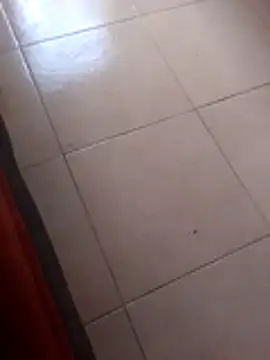 Robhalford33 online show from January 6, 2026, 7:07 pm