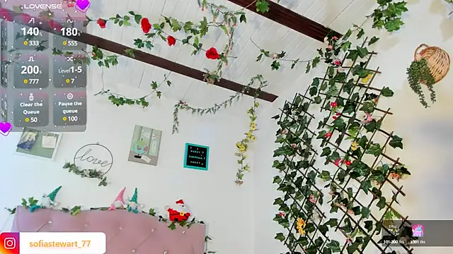 steewart  online show from December 29, 2024, 11:29 pm