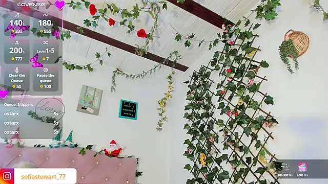 steewart  online show from December 13, 2024, 11:28 pm