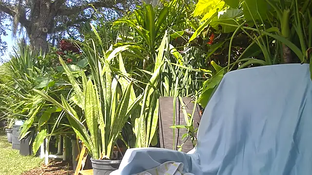 eliberator1777 online show from May 16, 2026, 7:57 pm