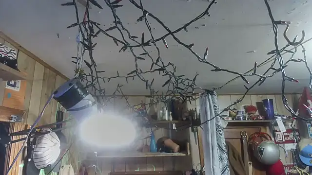 Snapshot of sex4fun_21 chatting on February 9, 2025, 8:54 am sex4fun 21 online show from February 9, 2025, 8:54 am