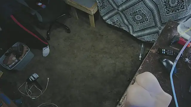 sex4fun 21 online show from November 2, 2025, 5:56 am