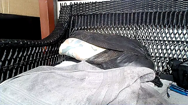 Snapshot of HungHawaiian808@xh chatting on January 28, 2025, 10:01 pm HungHawaiian808xh online show from January 28, 2025, 10:01 pm