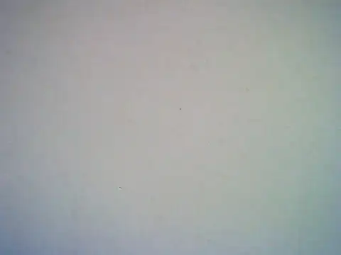 Snapshot of SweetAsianAss chatting on September 20, 2025, 3:00 am SweetAsianAss online show from September 20, 2025, 3:00 am