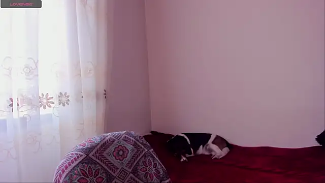 aluna 0310 online show from December 20, 2024, 8:45 pm