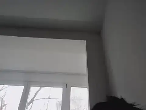 Snapshot of FallenDevil chatting on January 25, 2025, 11:55 am FallenDevil online show from January 25, 2025, 11:55 am