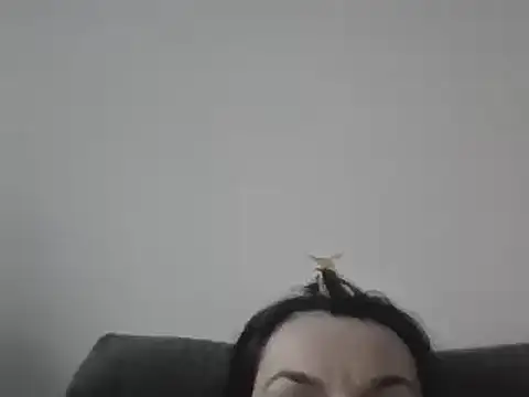 Snapshot of FallenDevil chatting on March 7, 2025, 4:00 pm FallenDevil online show from March 7, 2025, 4:00 pm