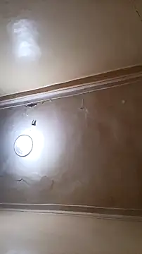 Snapshot of tslovetoys5 chatting on March 20, 2026, 8:21 pm tslovetoys5 online show from March 20, 2026, 8:21 pm