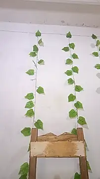 shayna all online show from January 5, 2026, 6:55 pm