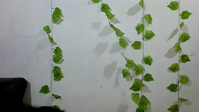 shayna all online show from September 9, 2025, 4:44 am