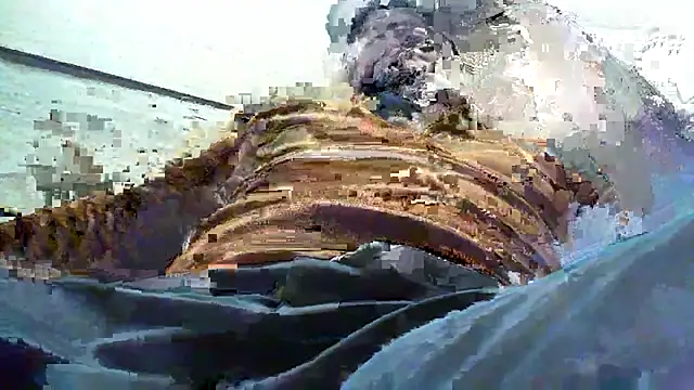 Billywax online show from January 8, 2026, 9:15 am