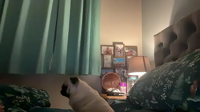 short sweetpea online show from January 12, 2026, 6:09 am