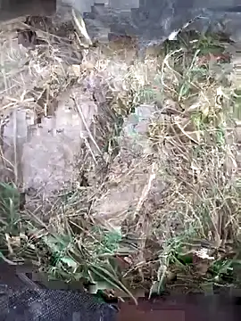 FinableKnee online show from October 11, 2025, 4:24 am