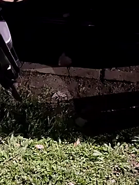 Snapshot of jeancarloscum12 chatting on February 10, 2026, 8:35 am jeancarloscum12 online show from February 10, 2026, 8:35 am