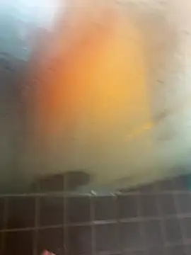 Mark3706 online show from September 21, 2025, 11:04 am