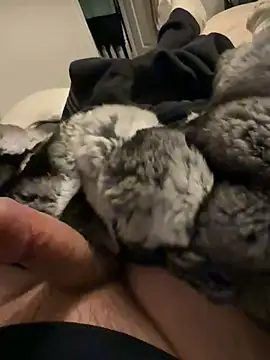 Snapshot of Furdale chatting on February 3, 2026, 6:35 pm Furdale online show from February 3, 2026, 6:35 pm