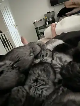 Furdale online show from March 15, 2026, 12:45 pm