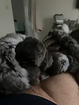 Snapshot of Furdale chatting on February 24, 2026, 4:52 pm Furdale online show from February 24, 2026, 4:52 pm