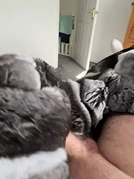 Furdale online show from March 22, 2026, 2:18 pm