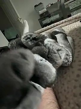 Snapshot of Furdale chatting on February 9, 2026, 3:43 pm Furdale online show from February 9, 2026, 3:43 pm