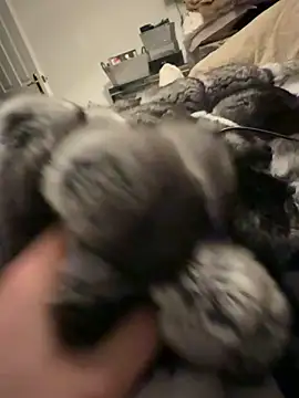 Snapshot of Furdale chatting on February 20, 2026, 6:10 pm Furdale online show from February 20, 2026, 6:10 pm