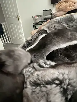 Snapshot of Furdale chatting on February 22, 2026, 3:13 pm Furdale online show from February 22, 2026, 3:13 pm