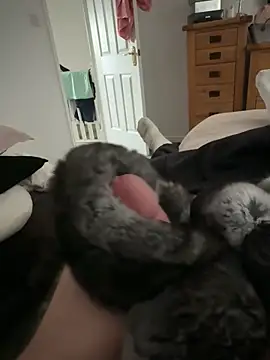 Furdale online show from April 8, 2026, 11:12 am