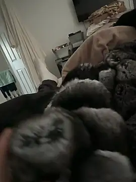 Snapshot of Furdale chatting on February 17, 2026, 4:15 pm Furdale online show from February 17, 2026, 4:15 pm