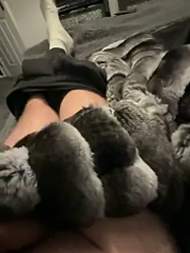 Furdale online show from November 12, 2025, 4:22 pm