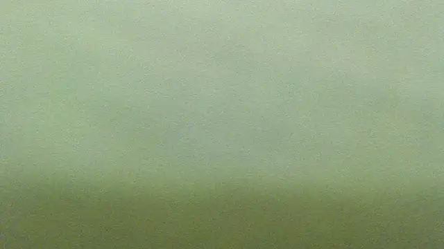 mmmPinUpGirl online show from December 18, 2025, 3:55 am