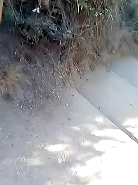 Snapshot of rodovlaz chatting on March 2, 2026, 1:07 pm rodovlaz online show from March 2, 2026, 1:07 pm