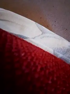 Snapshot of rodovlaz chatting on February 10, 2026, 11:20 am rodovlaz online show from February 10, 2026, 11:20 am