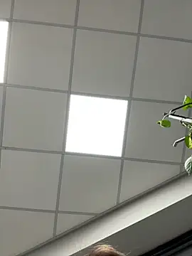 tattooed test online show from November 19, 2025, 3:01 pm